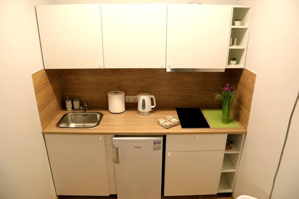 Bright Apartment,For 1-4,Near Old Town วิลนีอุส ภายนอก รูปภาพ